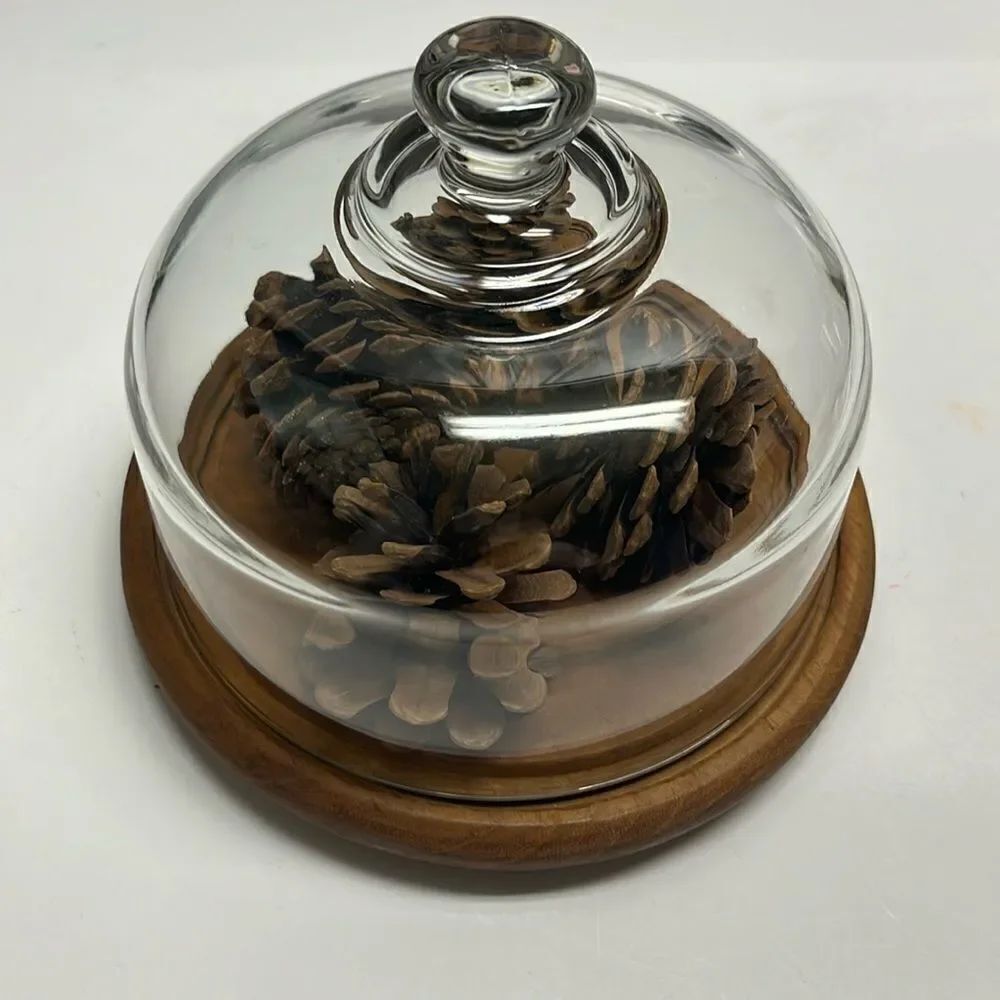Good Wood Genuine Teak Base with Glass Cloche Dome Pinecones Farmhouse Nature